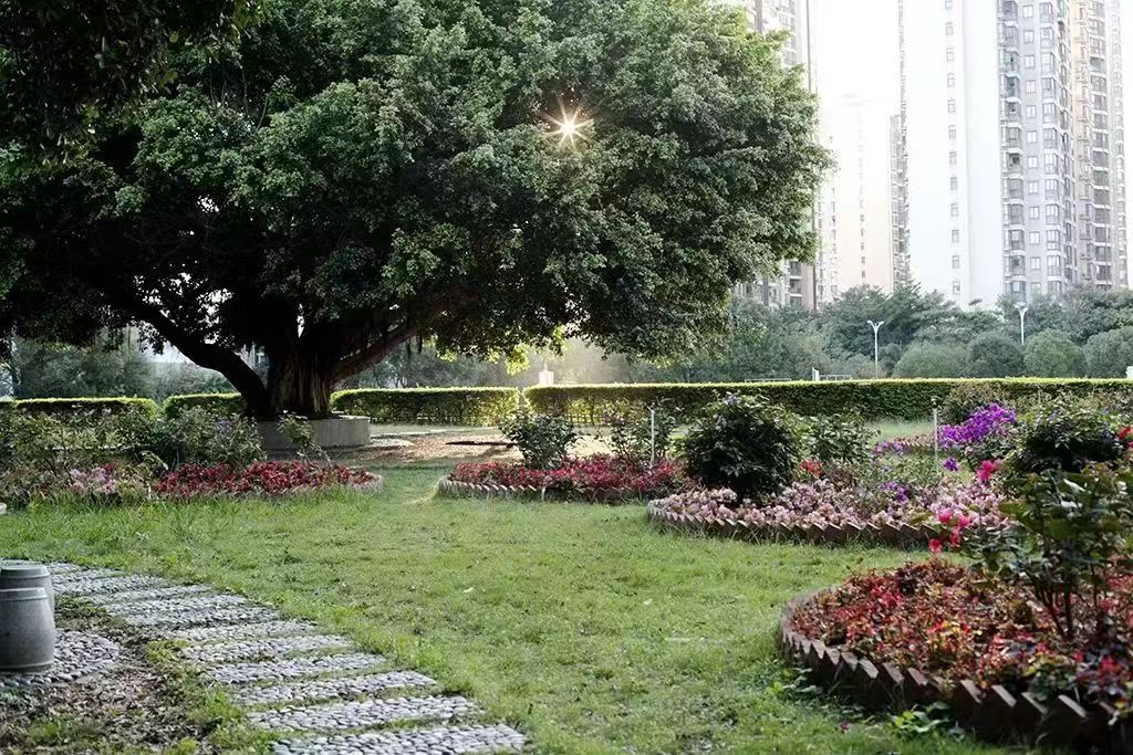 花坛
